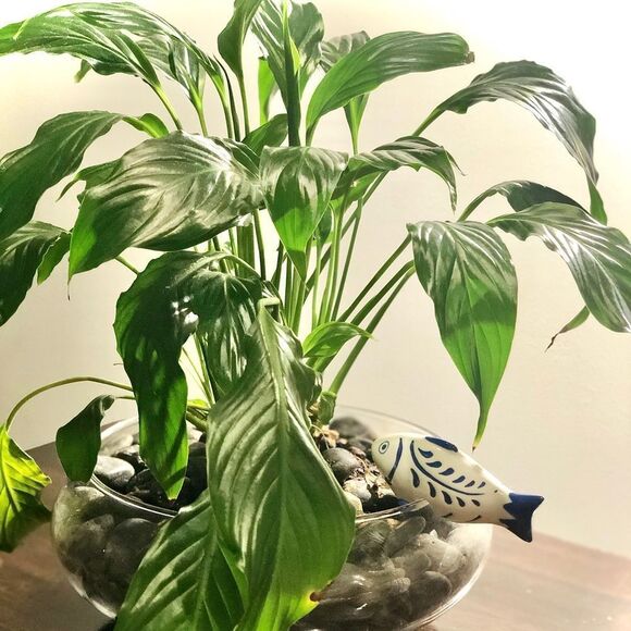 Opalhouse 4” Ceramic Fish Pot Percher🐟 white&blue - Picture 7 of 9